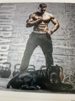 義大利亮彩紙、義大利晶彩紙