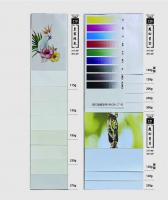 C19美術貼紙、C20魔幻星空、C21魔幻星月